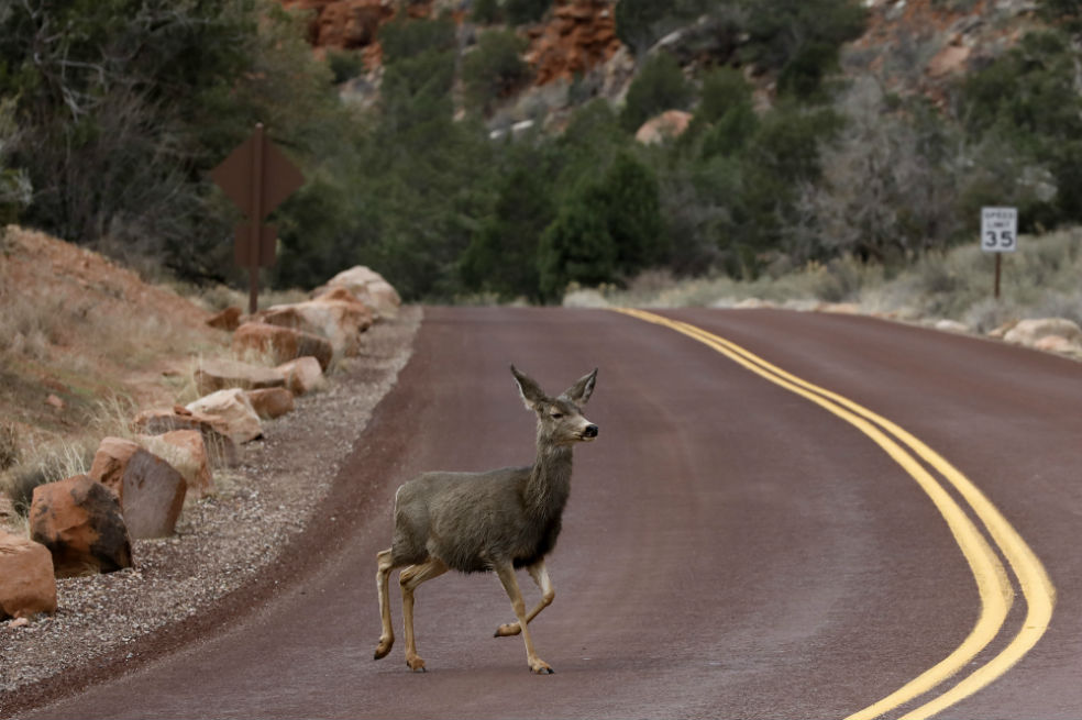 Trump recorta perímetro de dos parques naturales
