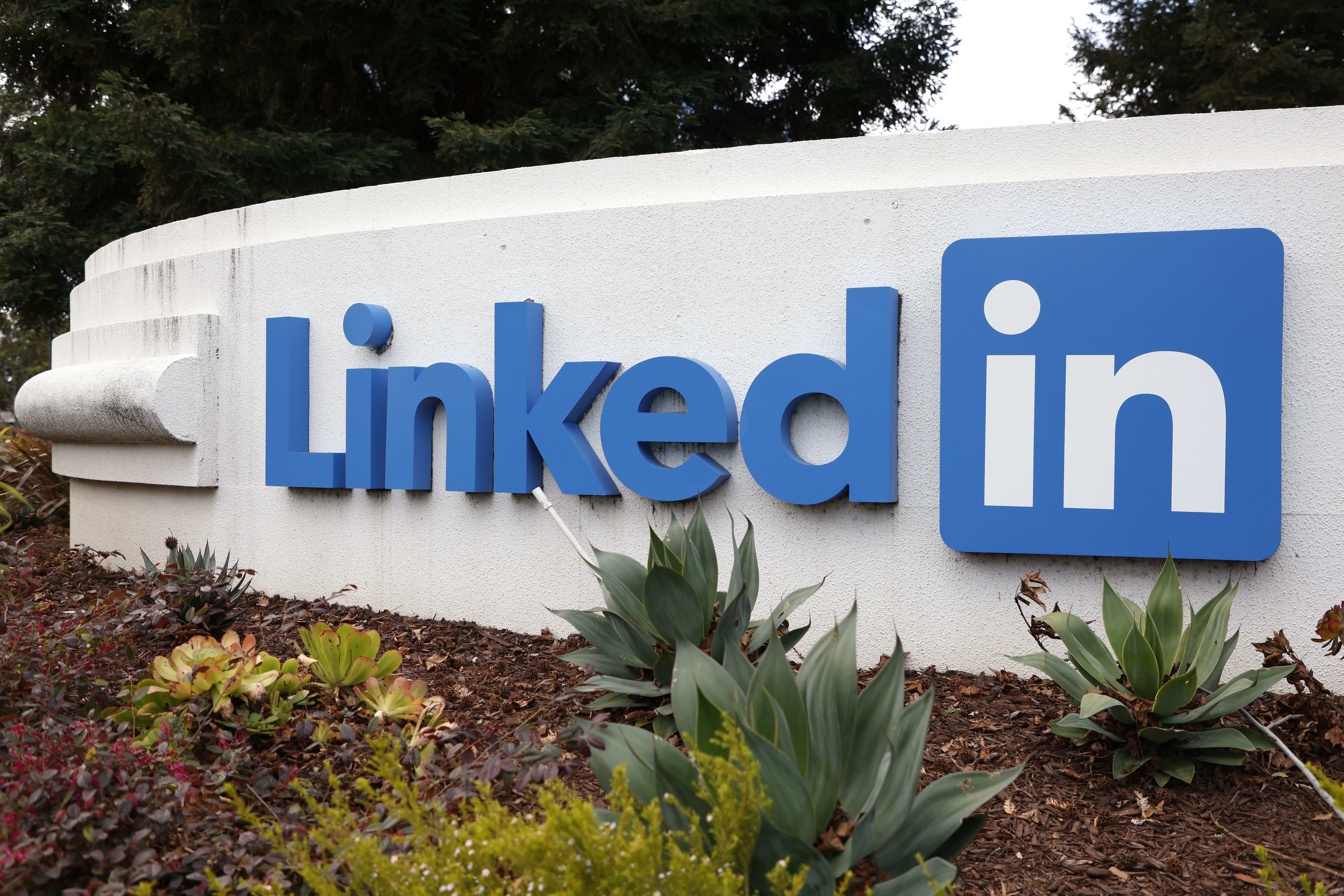 Sunnyvale (United States), 22/02/2023.- LinkedIn logo on the Corporate campus in Sunnyvale, California, USA, 22 February 2023. The employment-focused social network has revealed plans to layoff workers that will affect positions in Mountain View, Sunnyvale and San Francisco. (Estados Unidos) EFE/EPA/JOHN G. MABANGLO