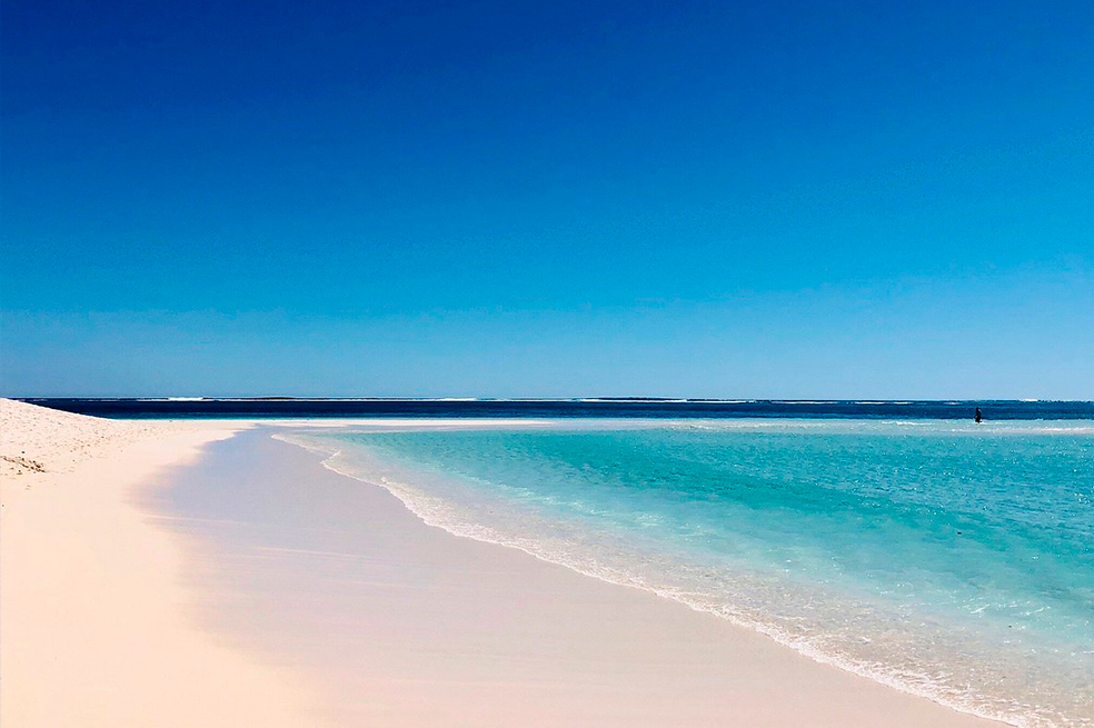 Encuentran muerta una ballena jorobada “extremadamente rara” en playas de Australia