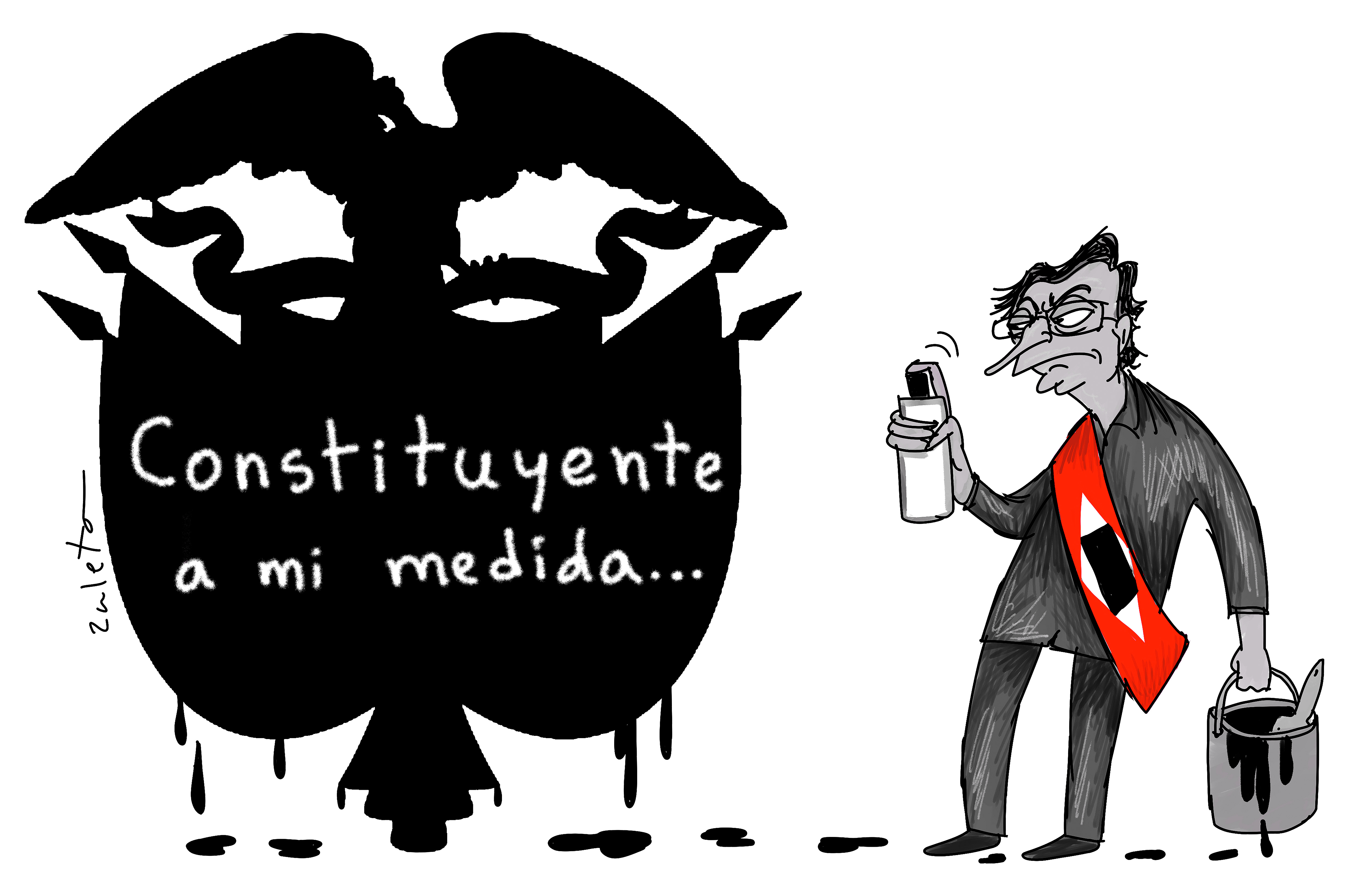 Solicitud constituyente