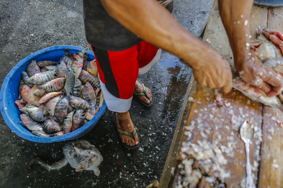 ¿Cómo sobrevive una comunidad en Nicaragua de un lago contaminado?