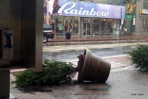 Esperando a Sandy
