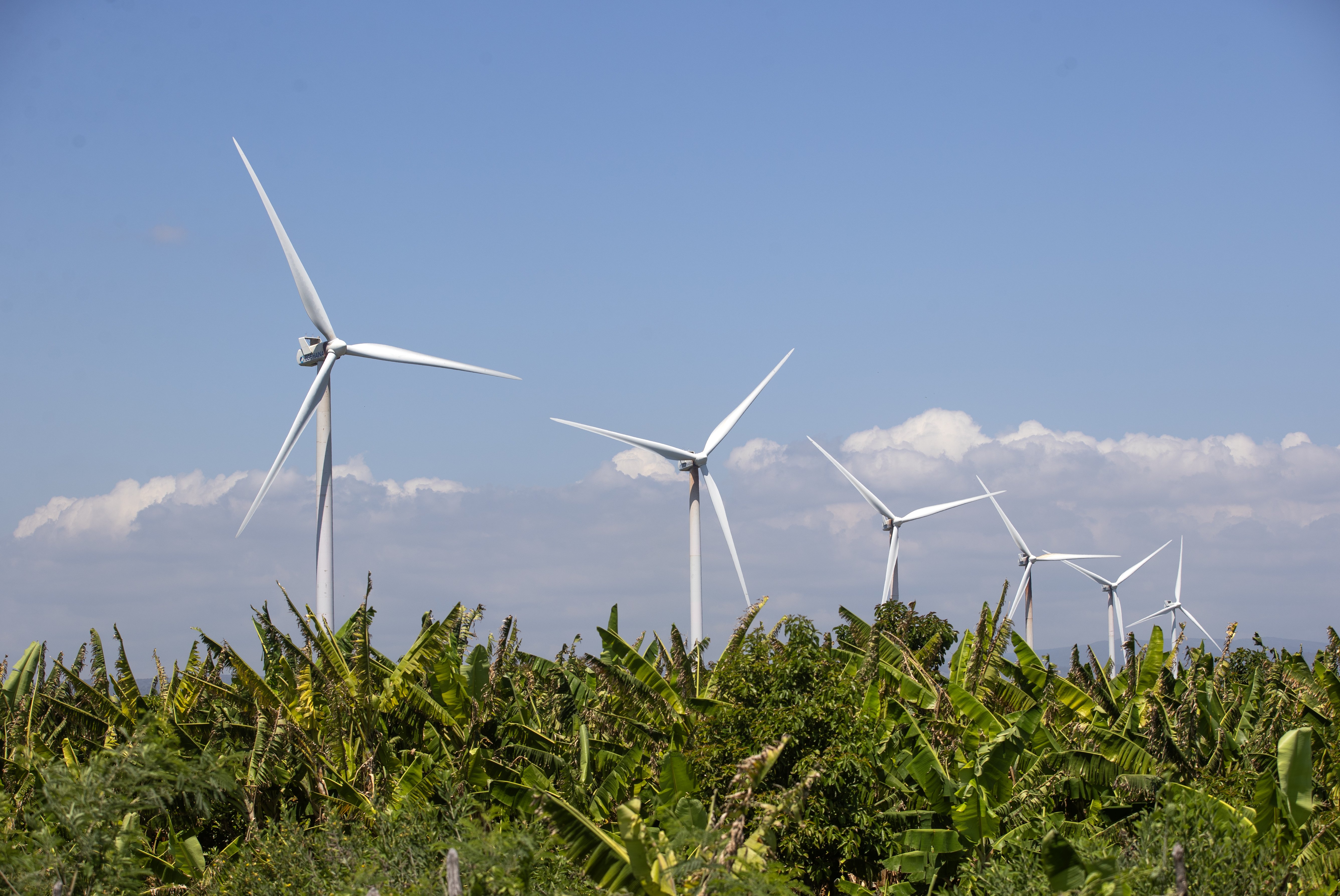 Pese a récord de 2024, el mundo se queda corto con las energías renovables
