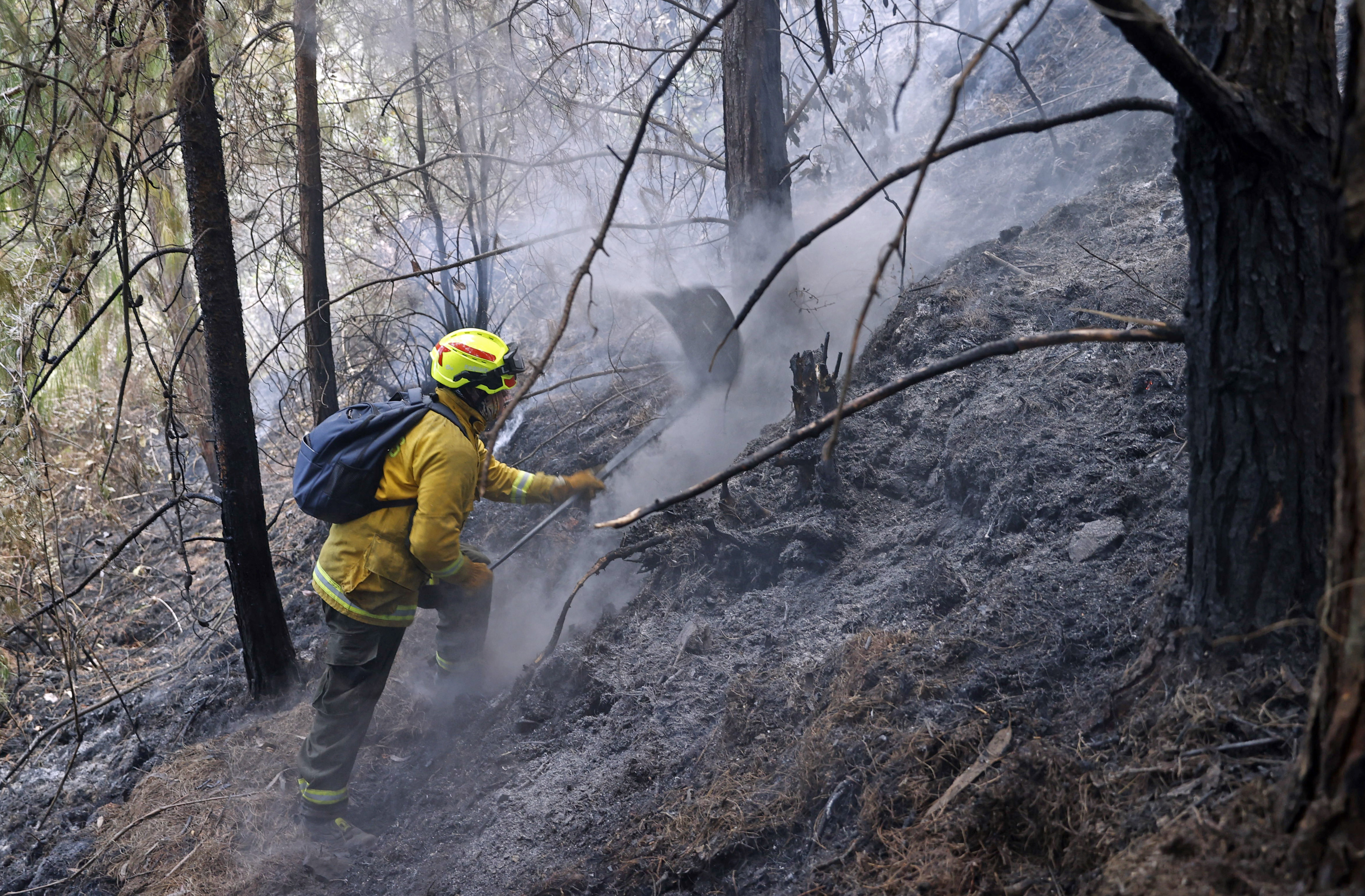 Más de 17.000 hectáreas afectadas por incendios en Colombia, 34 siguen activos