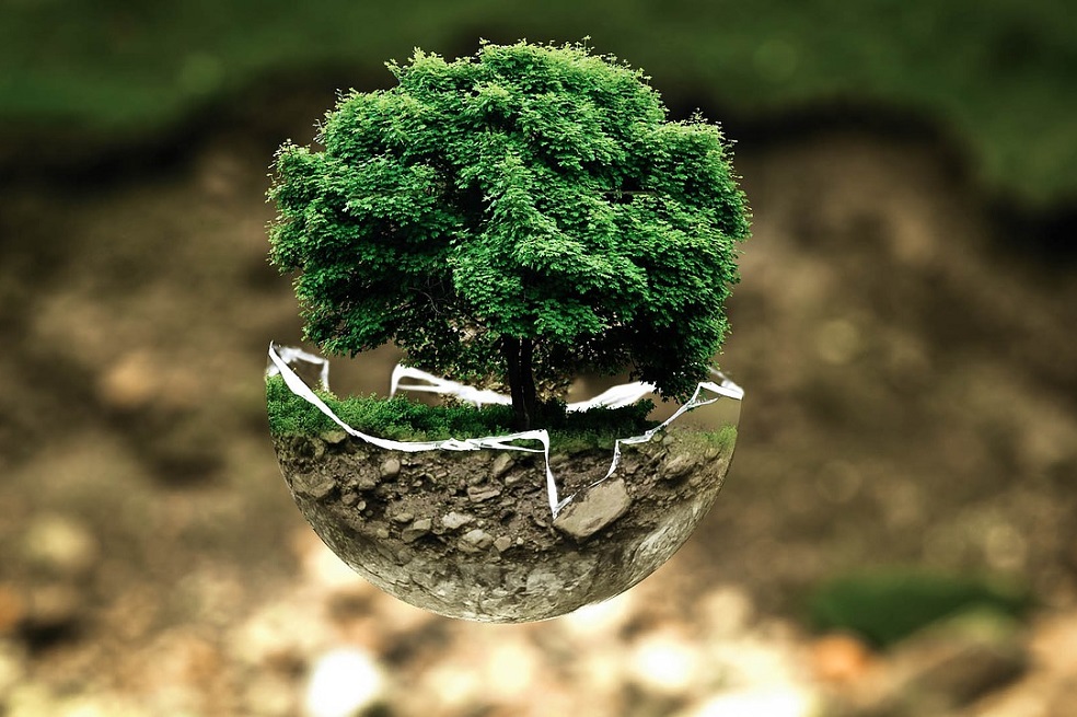 Alternativas sostenibles para la protección del medioambiente
