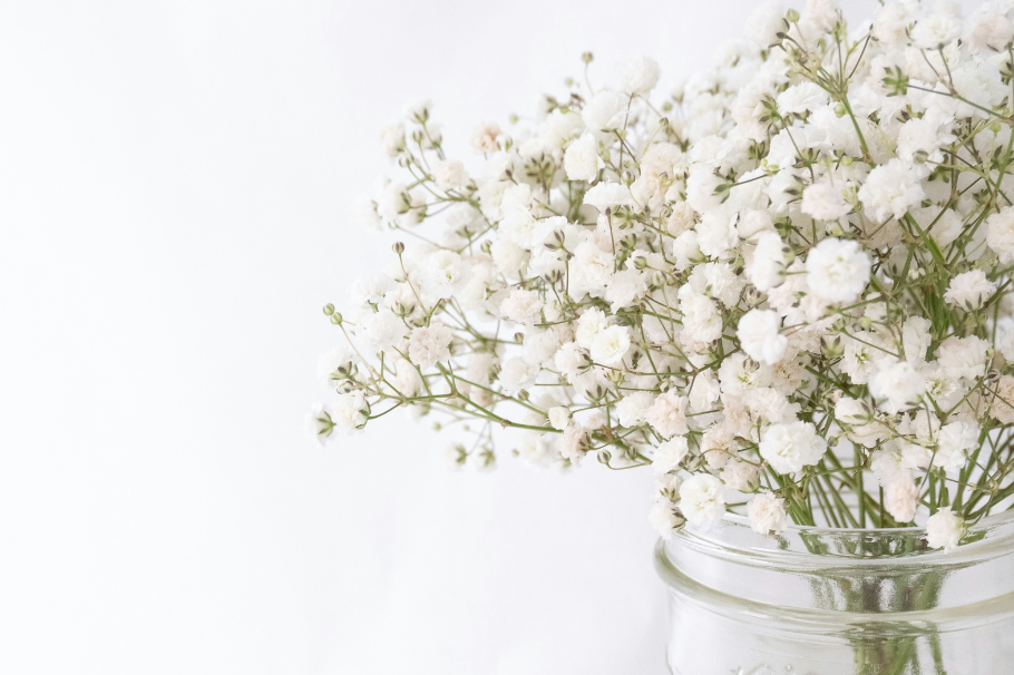 White Day: esta es la razón para regalar flores blancas el 14 de marzo