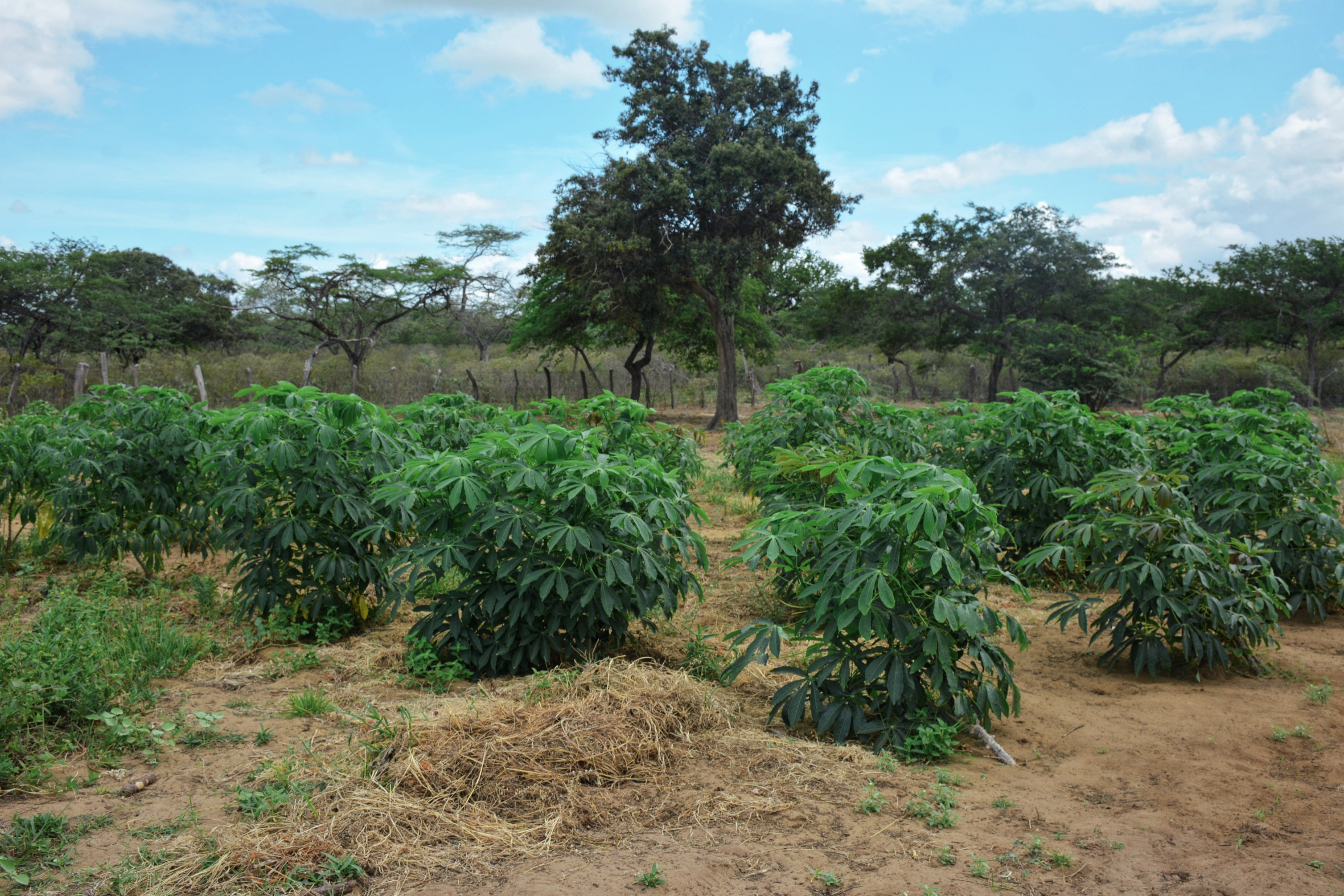 Primera área de protección para producir alimentos se declara en La Guajira