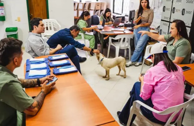 Barrancabermeja planea construir una Unidad de Bienestar Animal
