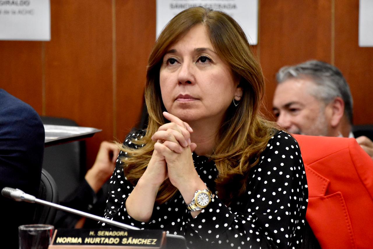 Reforma a la salud: Norma Hurtado responde a críticas sobre su propuesta alternativa