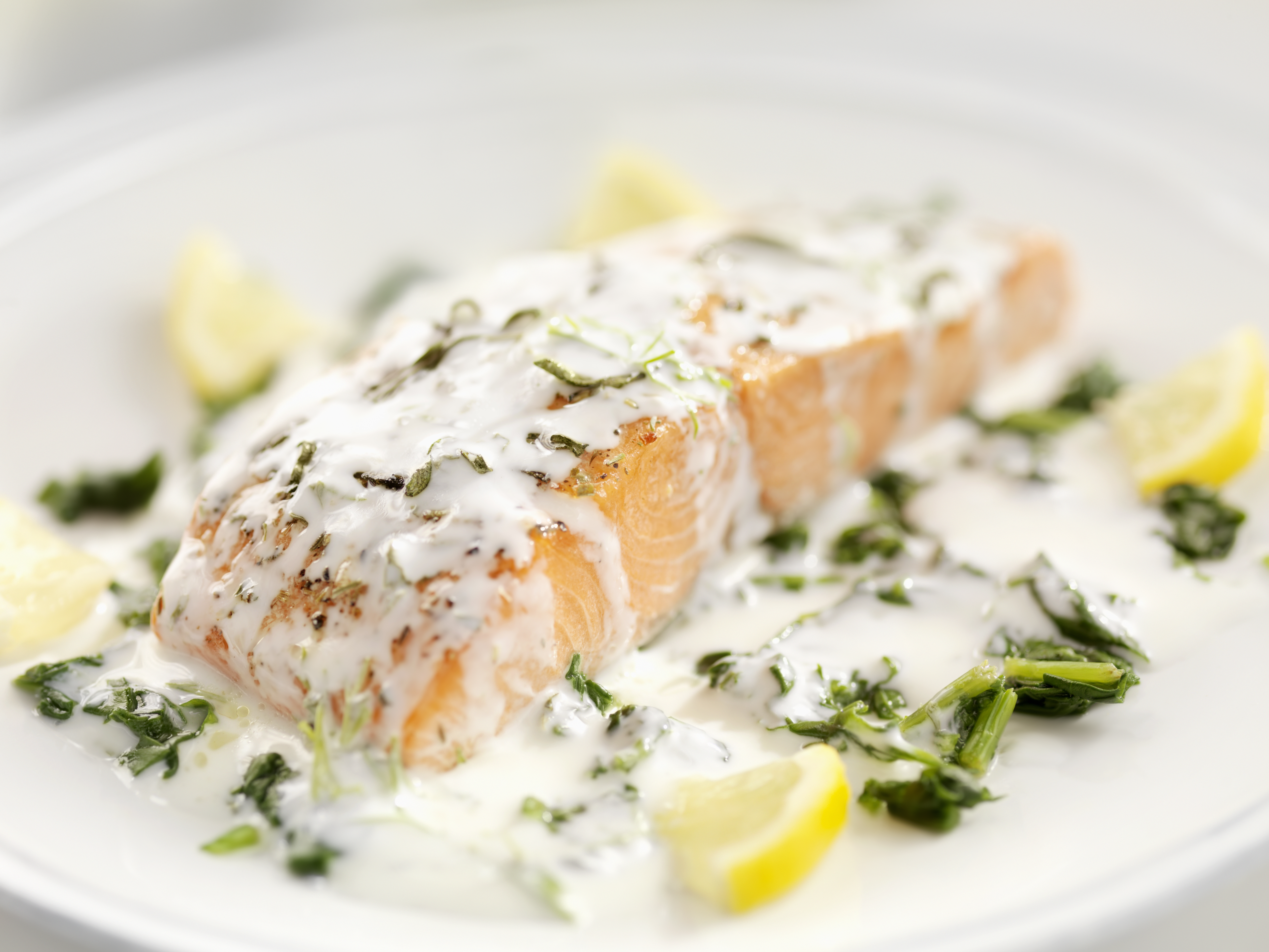 Lunes de salmón cremoso para el almuerzo