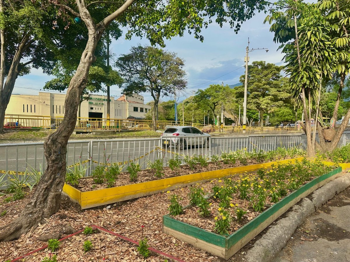 La estrategia con la que la Alcaldía de Medellín quiere renaturalizar la ciudad
