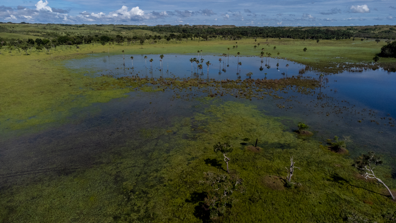 Así es Serranía de Manacacías, el nuevo Parque Natural de Colombia