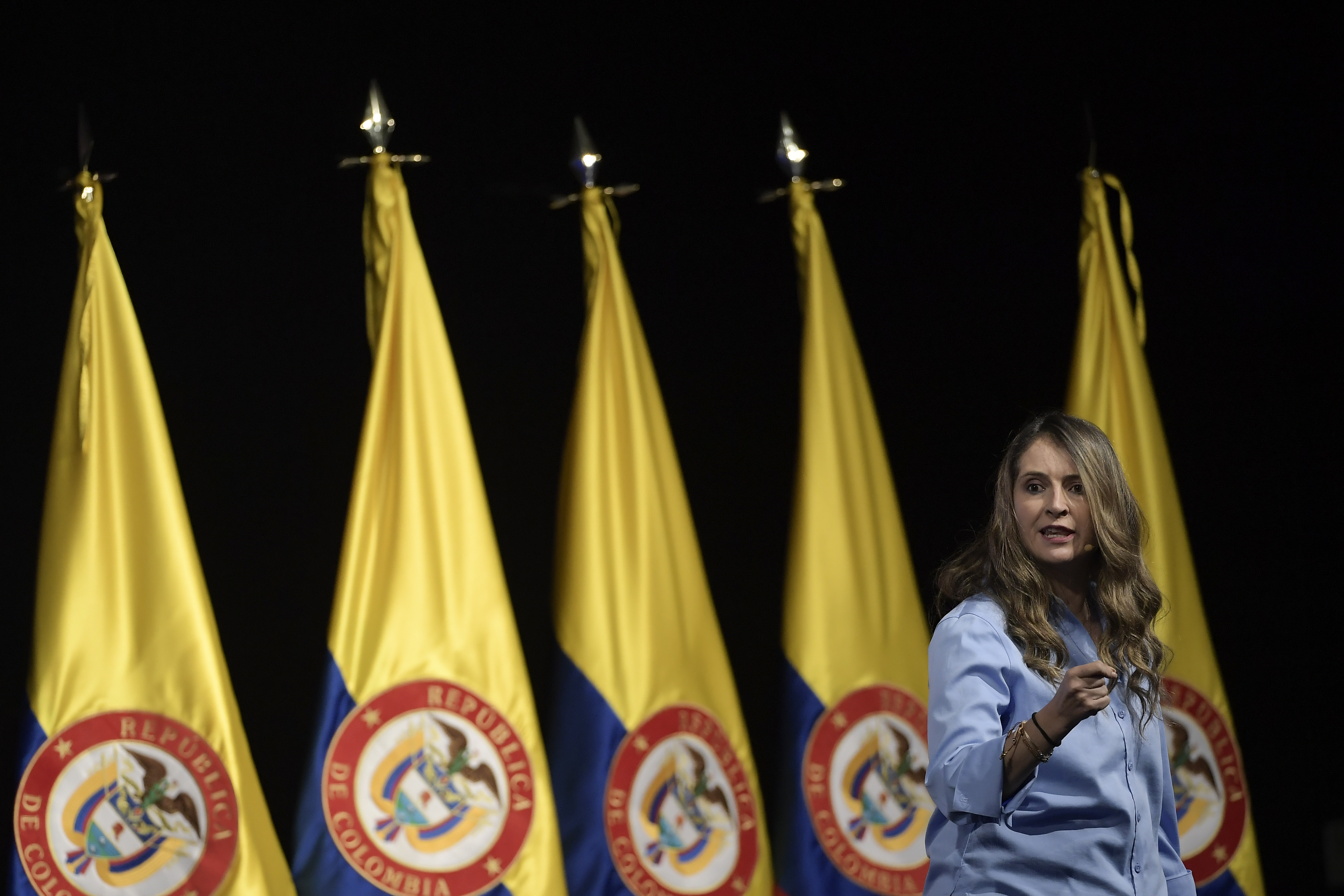 Centro Democrático buscaría frenar elección de magistrado del CNE con tutela