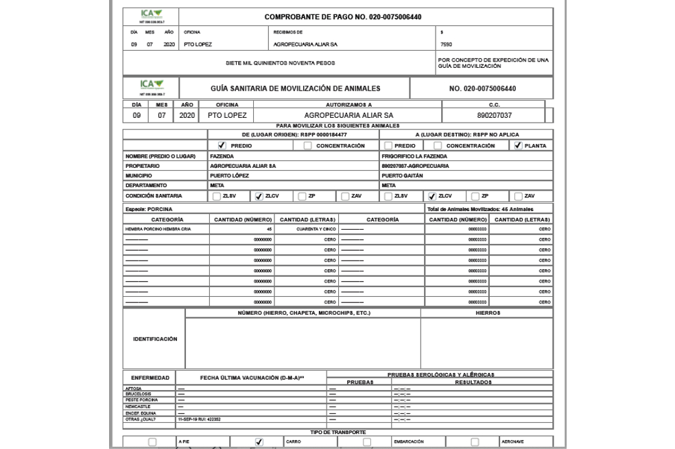 En las carreteras de la Amazonía este es el único requisito que exigen las autoridades para permitir el tránsito de camiones cargados con ganado.