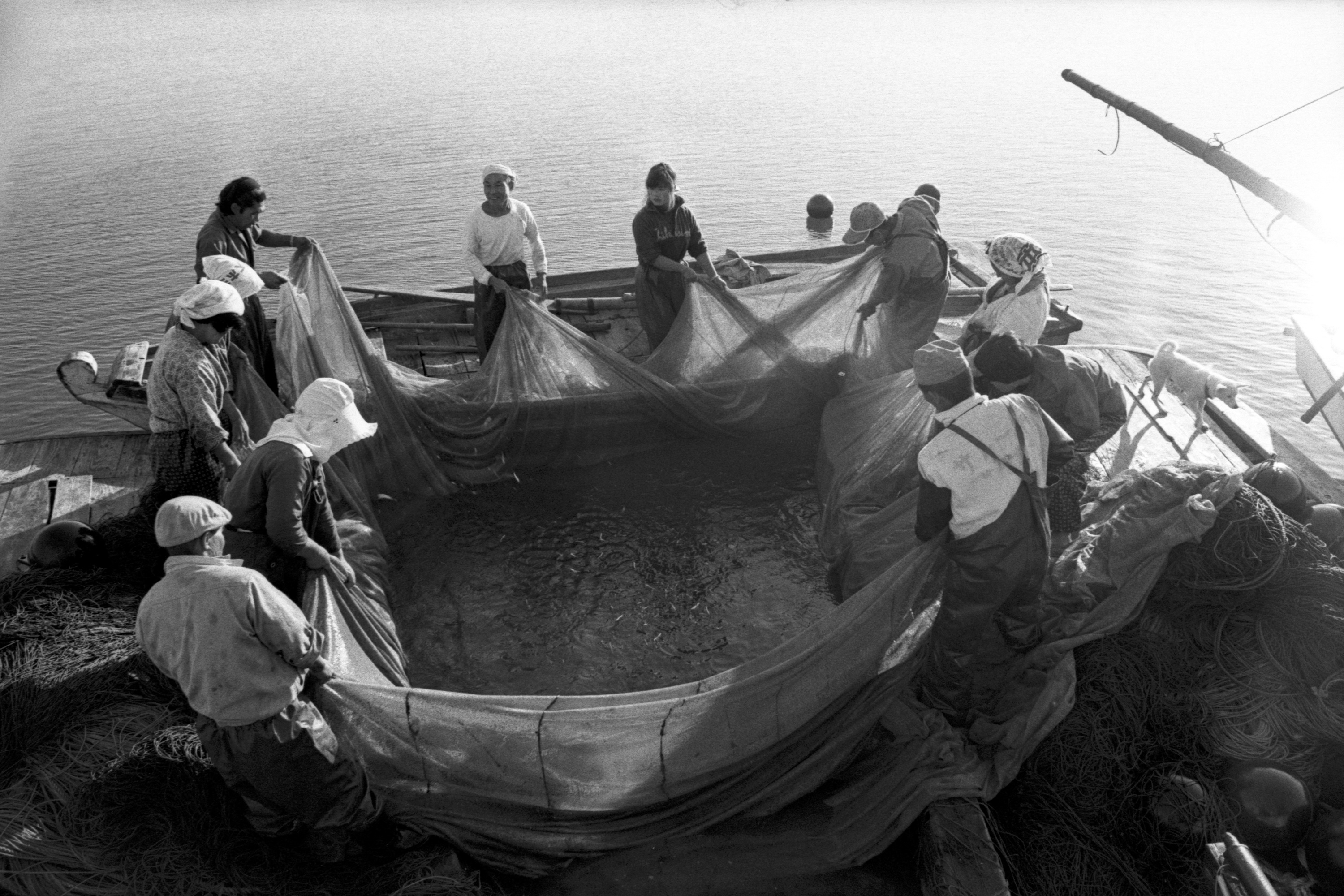 Pesca de sardinas en el mar Shiranui.