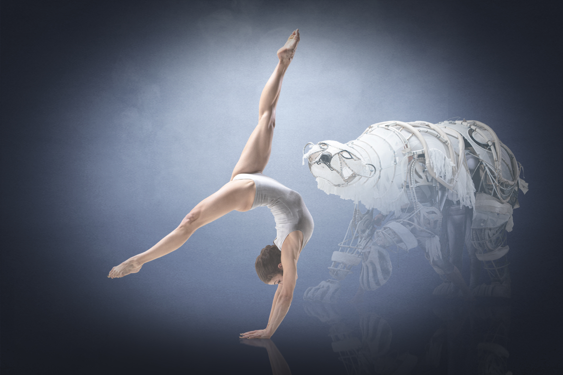 Dirección y coreografía: Bence Vági