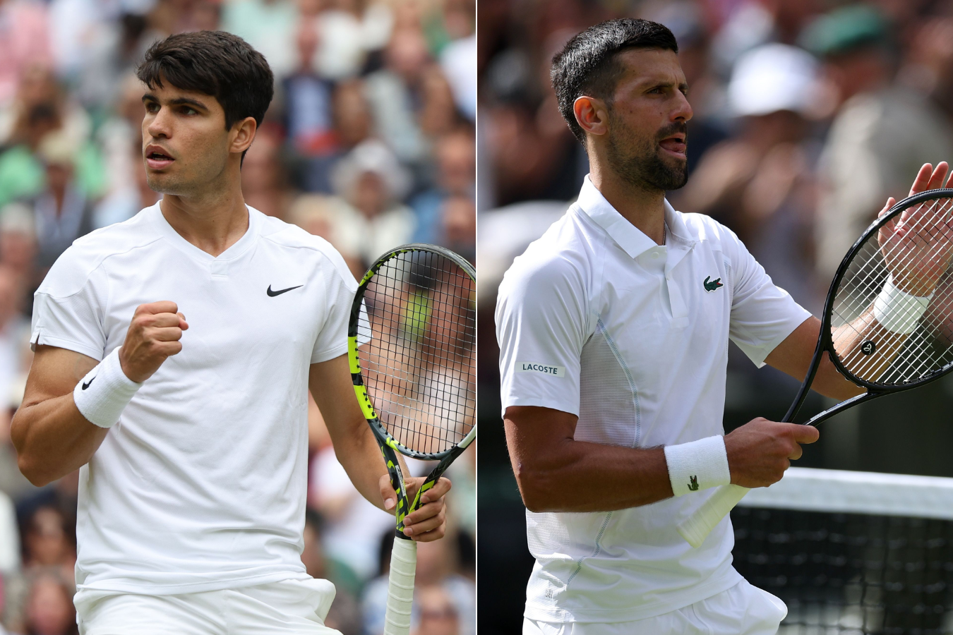 Carlos Alcaraz y Novak Djokovic se vuelven a citar en la final de Wimbledon
