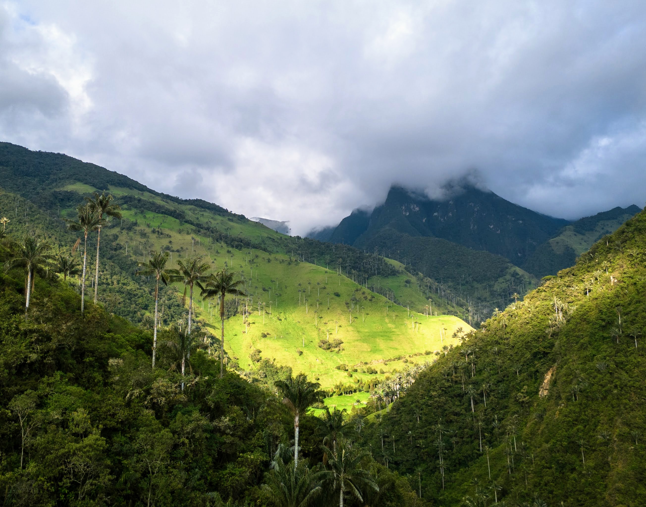 El valle de palmas de cera del Sinaí está ubicado en la vereda Santo Domingo, a media hora del casco urbano de Tacueyó. Allí se puede realizar senderismo y avistamiento de fauna.