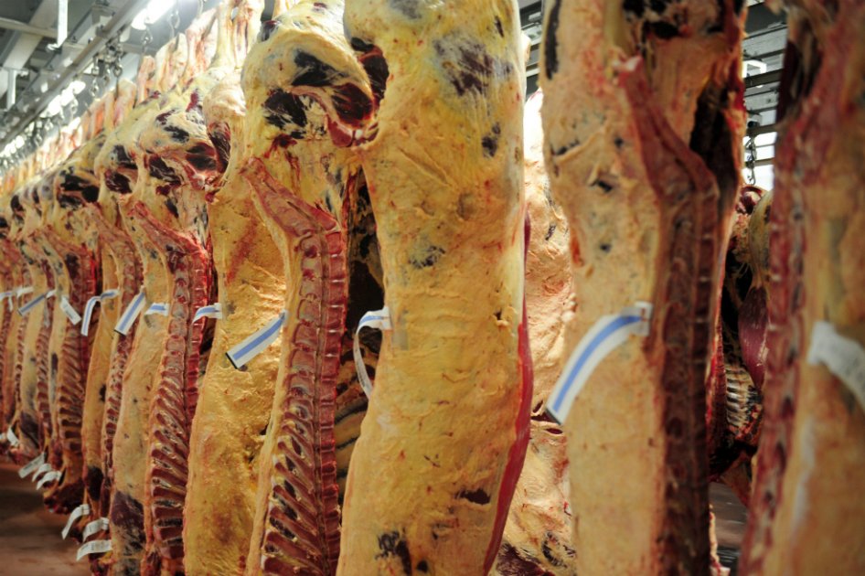Gobierno y empresas diseñan plan para exportar carne bovina a EE.UU.