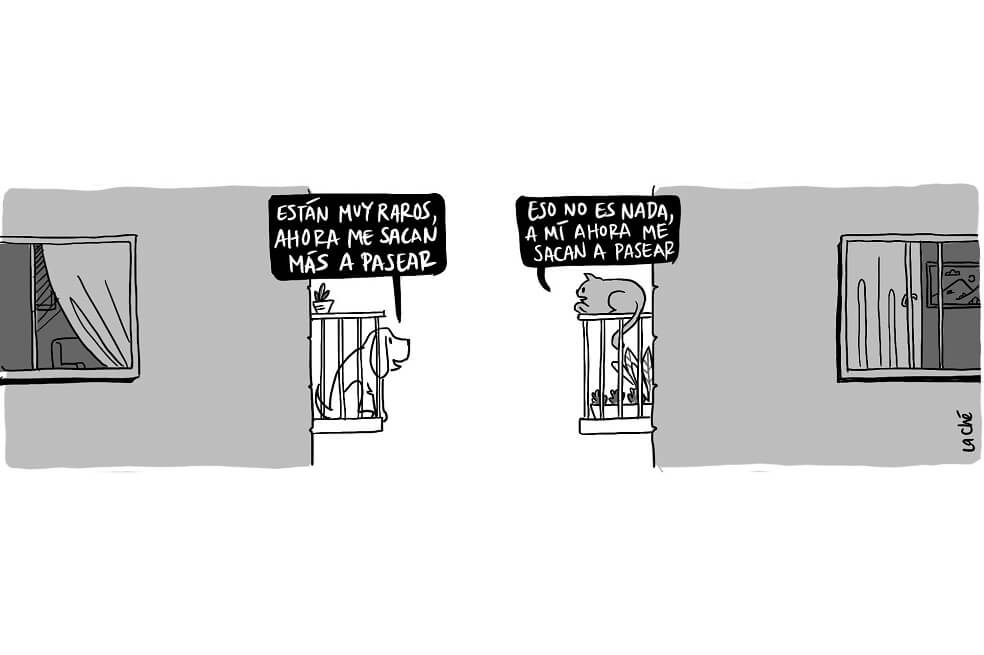 La Ché