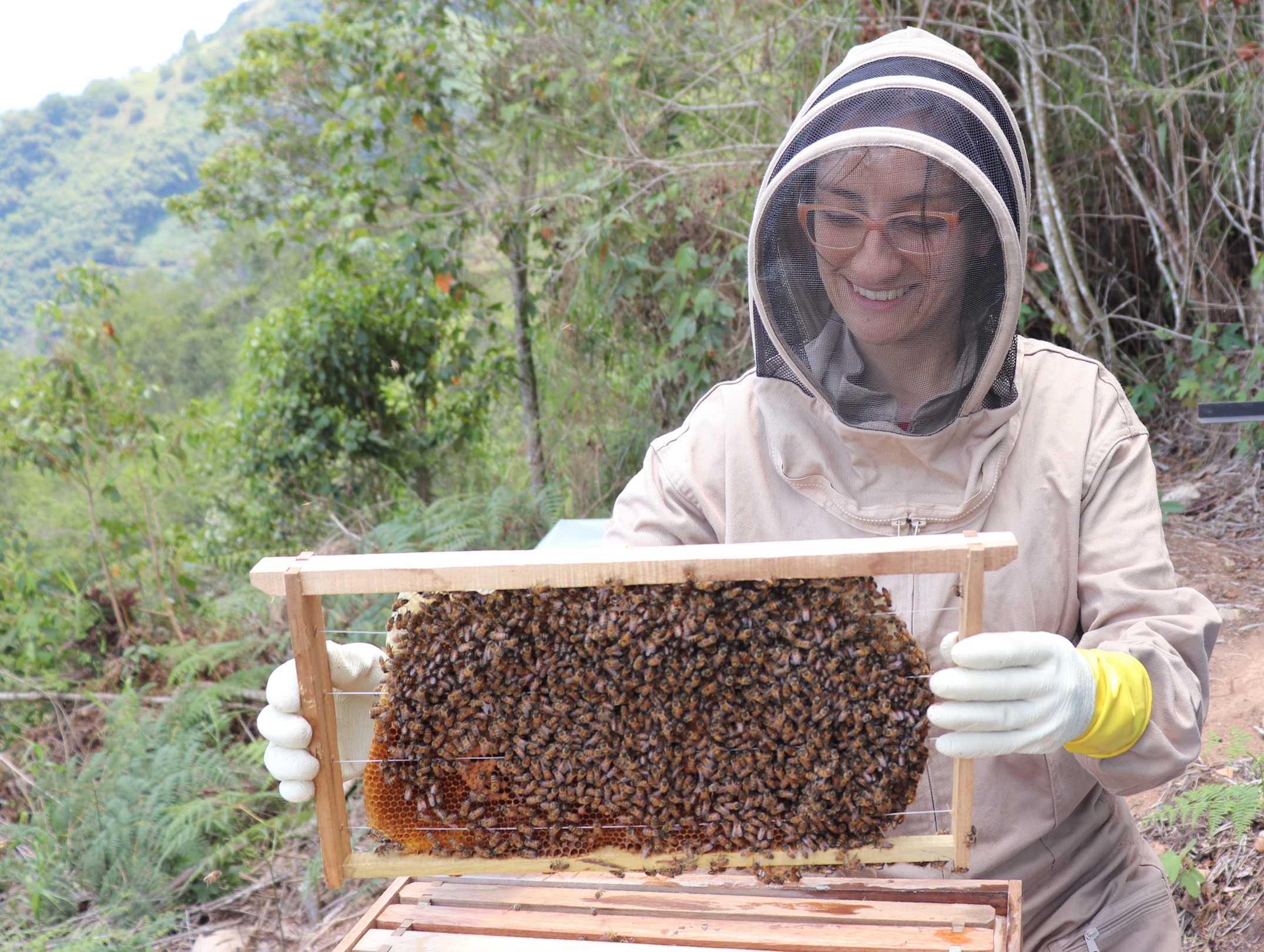 Una empresa apicultora que apunta hacia el sostenimiento responsable de abejas