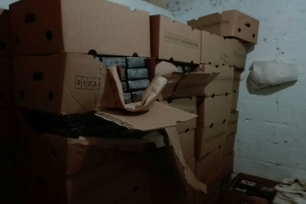 Incautan siete toneladas de cocaína del Clan del Golfo en Antioquia