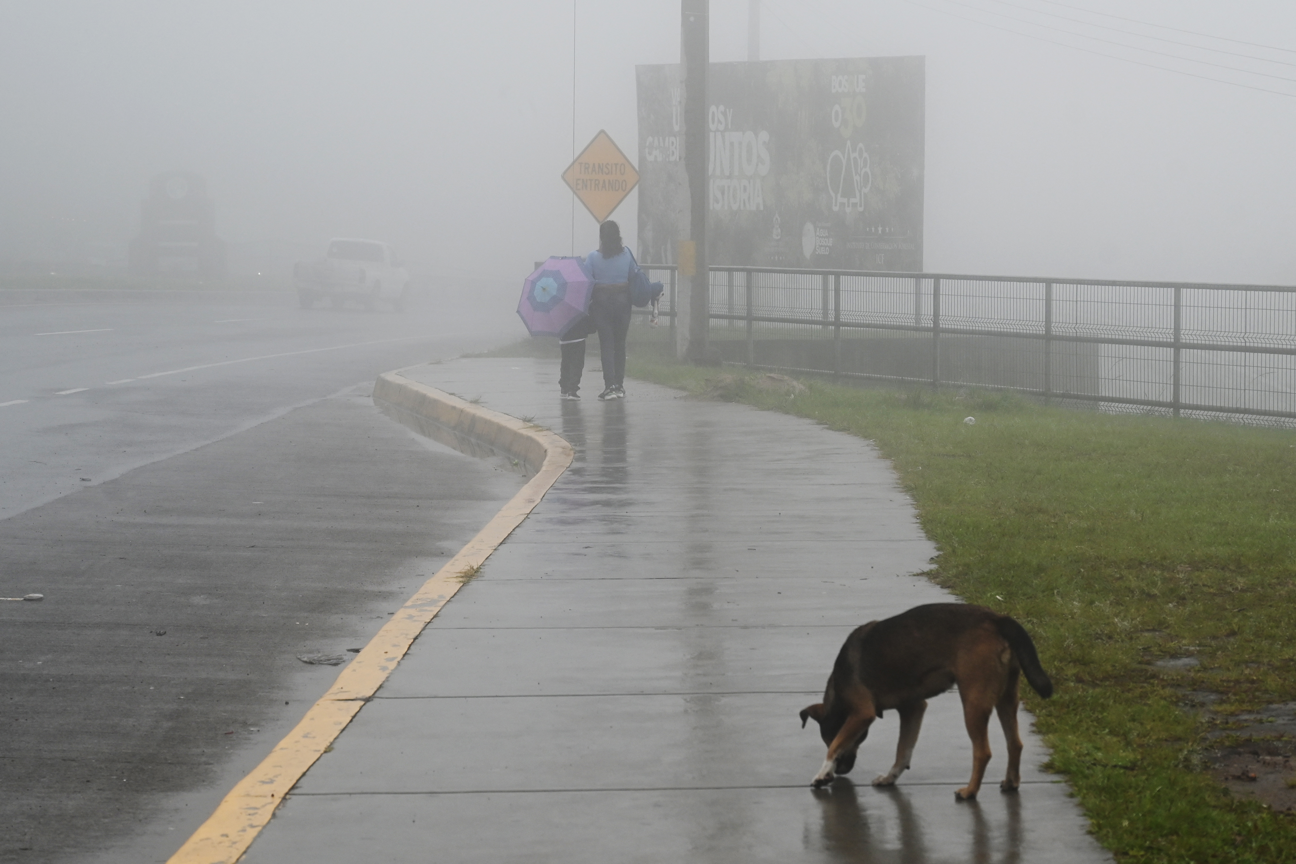 Alerta máxima en Centroamérica por tormenta Pilar; El Salvador declaró emergencia