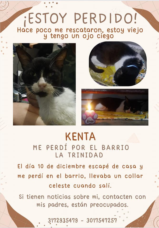 Mascotas perdidas en Colombia
