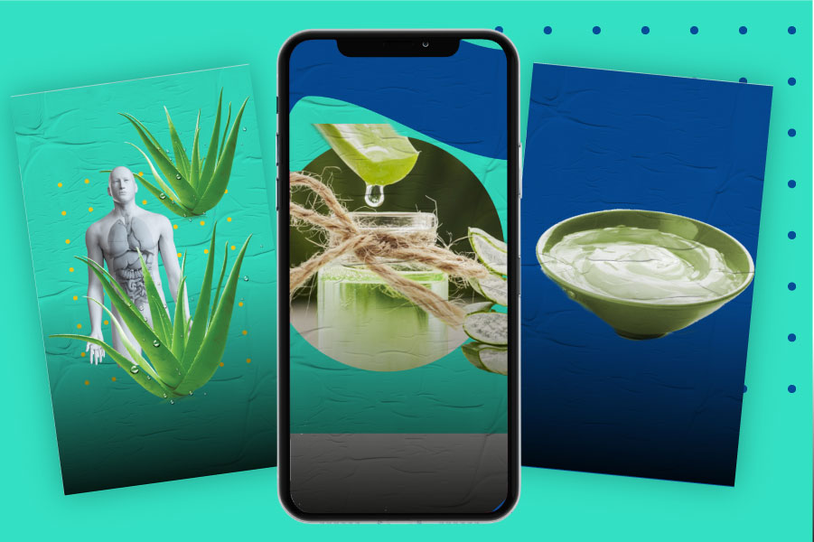 Aloe vera: ¿cómo usarlo para bajar de peso?