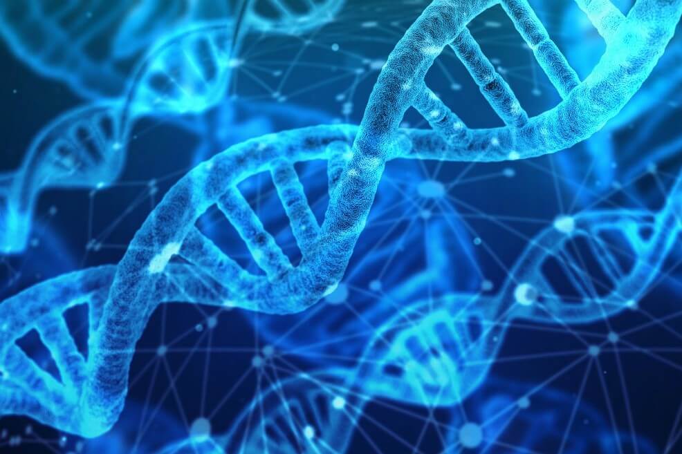 Logran el mapa más completo de genoma del cáncer y se abre una nueva puerta para tratarlo