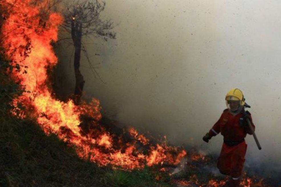 Se declara Alerta Roja en 87 municipios de Santander por temporada seca