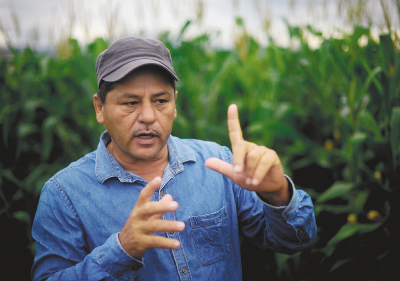 La guerra de las Farc en la era de los microchips, según “Romaña”