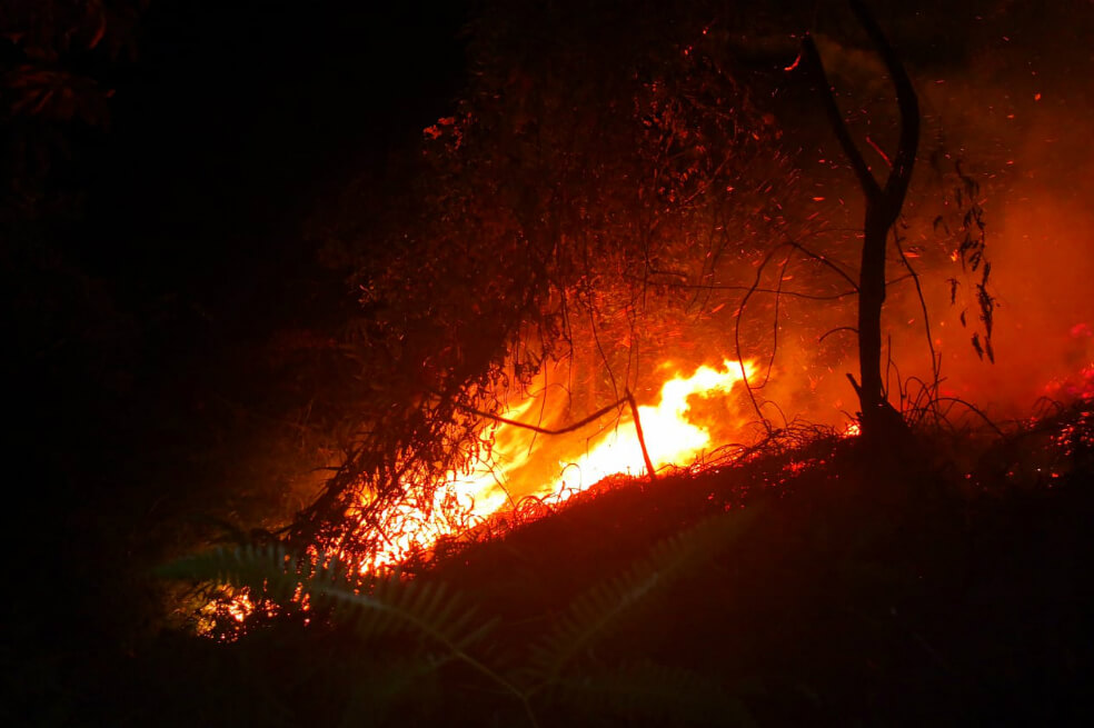 Logran controlar incendio que consumió 112 hectáreas de bosque en Yumbo, Valle
