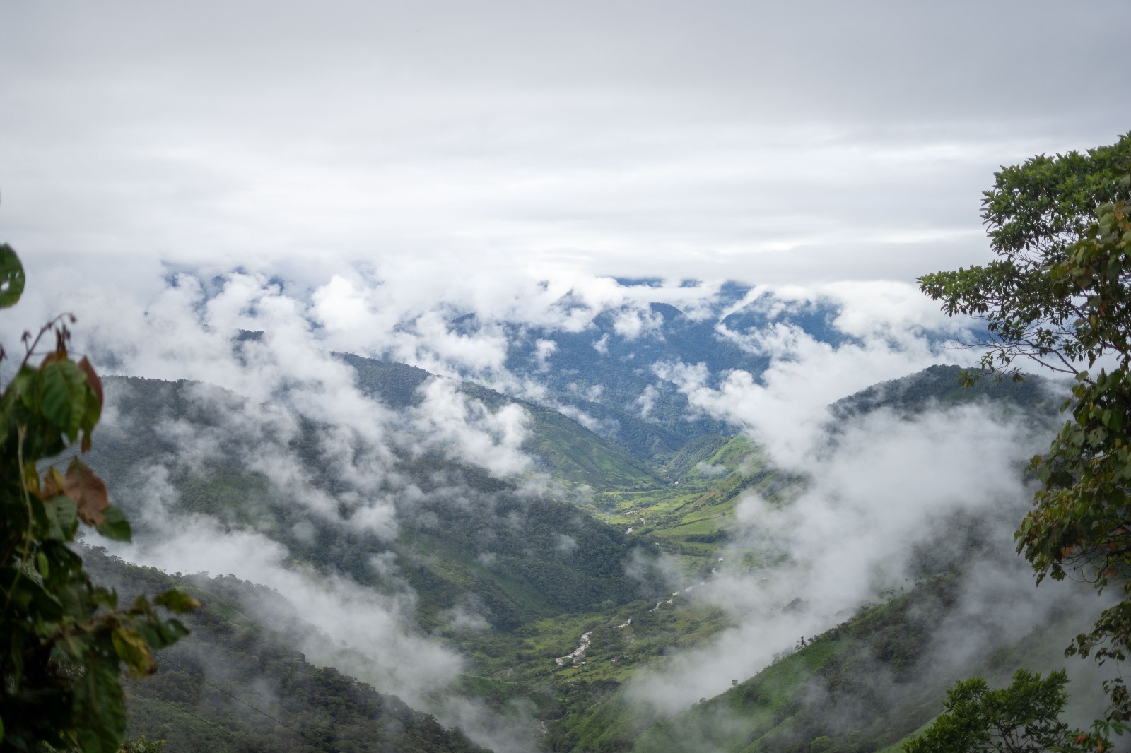 Colombia tiene un nuevo parque natural regional en Chocó: Las Tángaras