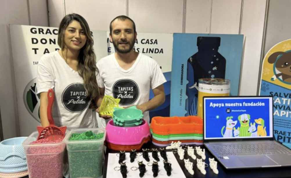 Tapitas por patitas: la fundación que recicla plástico para ayudar a mascotas abandonadas