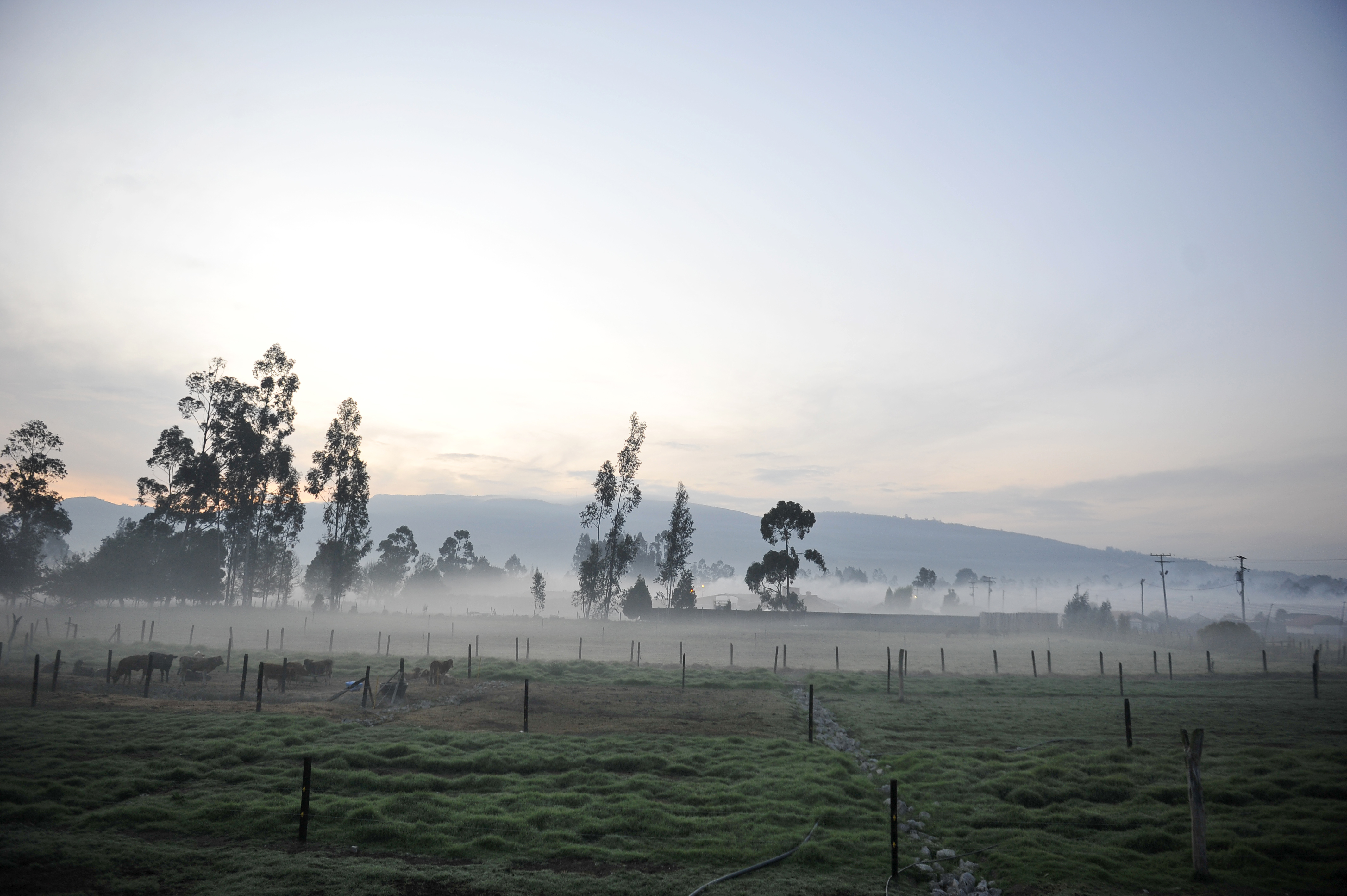 Minambiente publica hoja de ruta para ordenar ambientalmente la Sabana de Bogotá