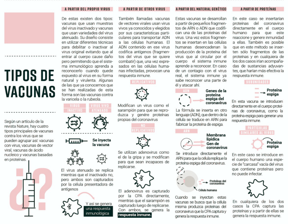 Infografía realizada por Natalia Pedraza