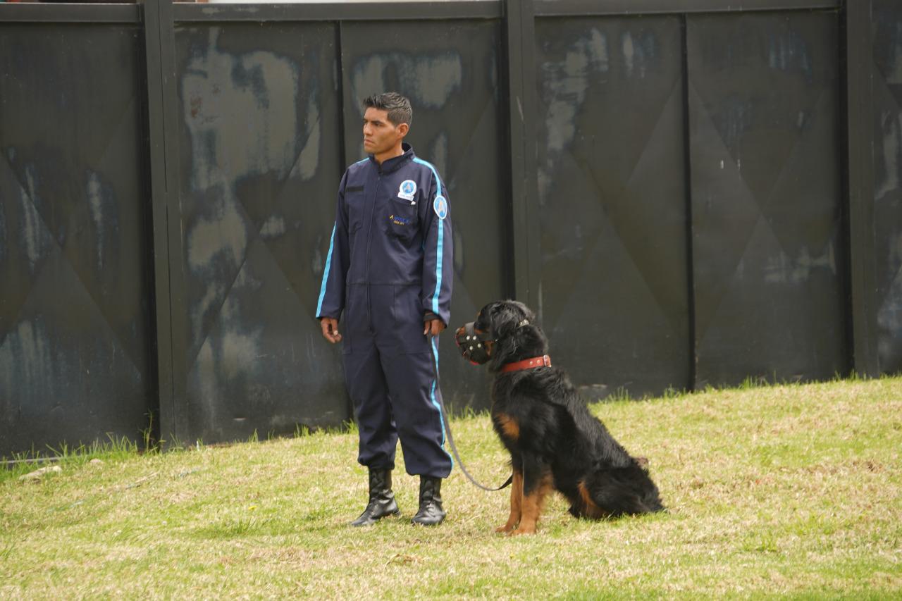 Proyecto buscar prohibir el uso de perros para vigilancia y seguridad en el país
