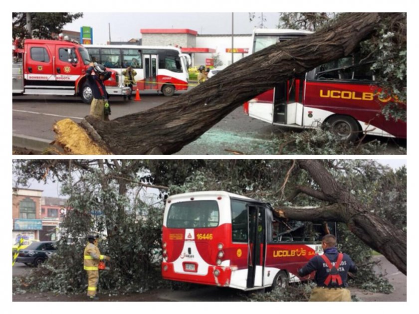 Árbol cayó sobre un bus en la localidad de Puente Aranda en Bogotá