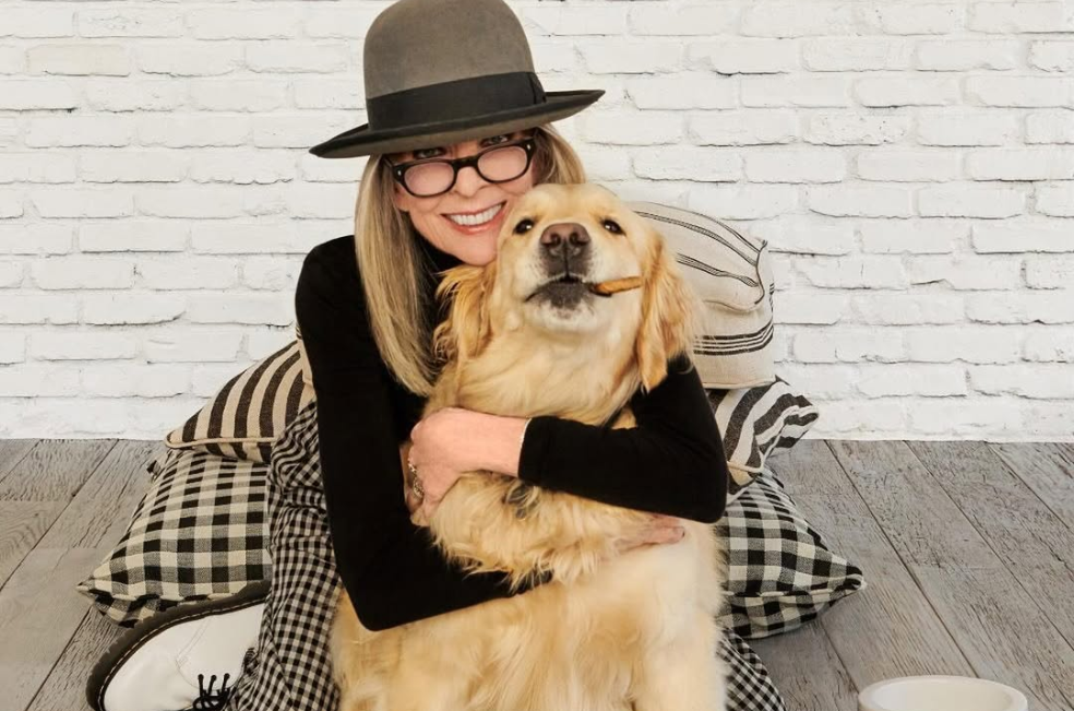 La millonaria herencia que Diane Keaton habría destinado al cuidado de su perrita