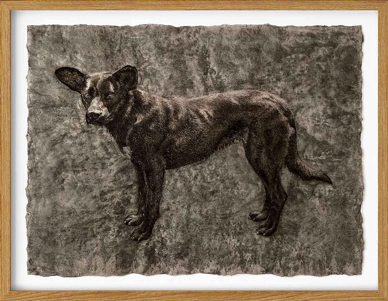 "Vestigios" de Claudia Porras es una serie de dibujos inspirados en la fauna urbana. La exposición se encuentra en Galería El Museo.