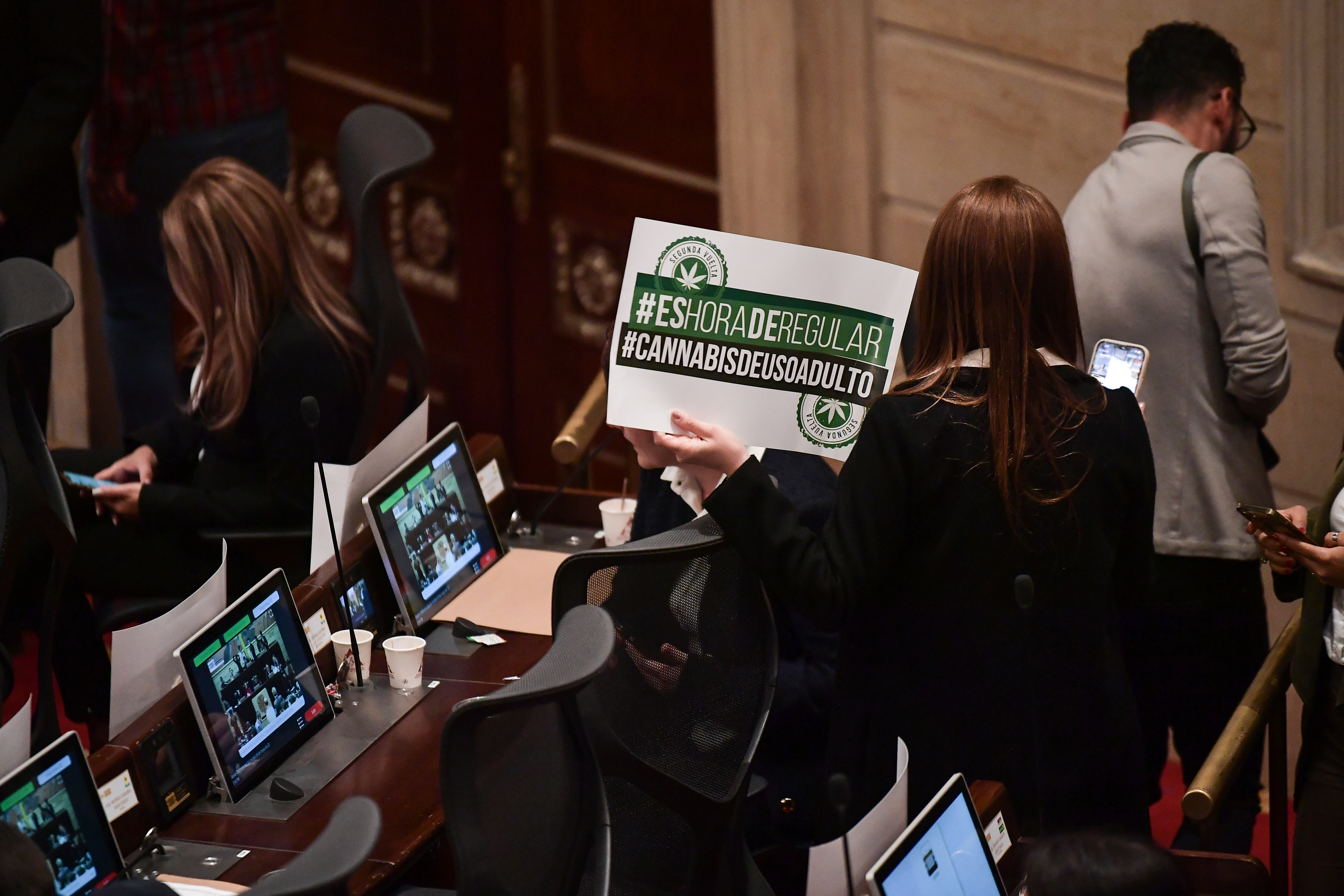 Cannabis: su regularización estaría en riesgo en el Congreso, pese a tener mayorías