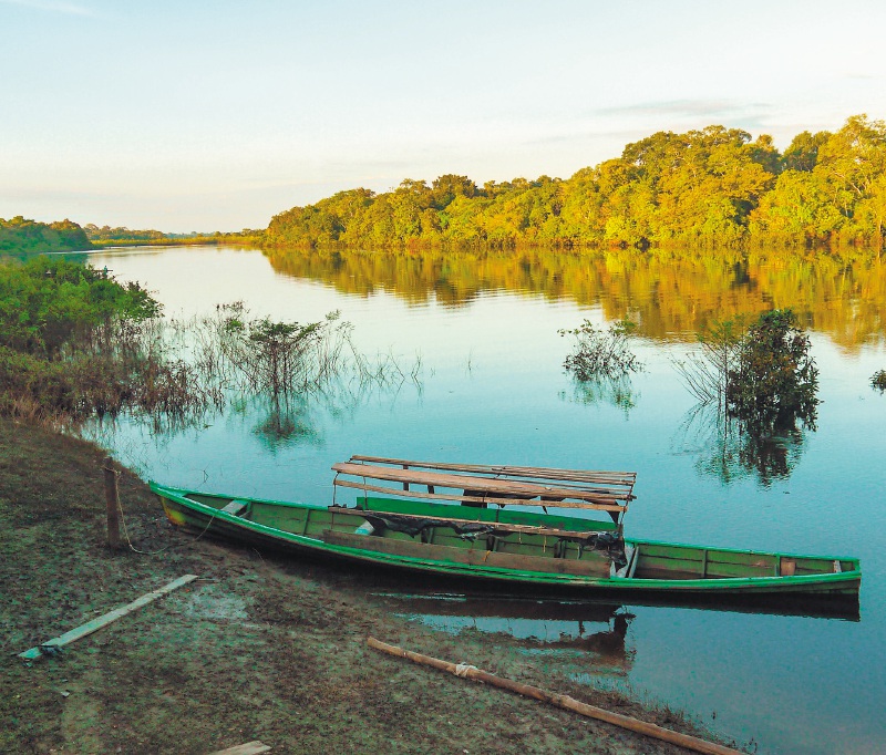 COP26: ¿La oportunidad de Colombia para buscar cómo proteger nuestros ecosistemas?