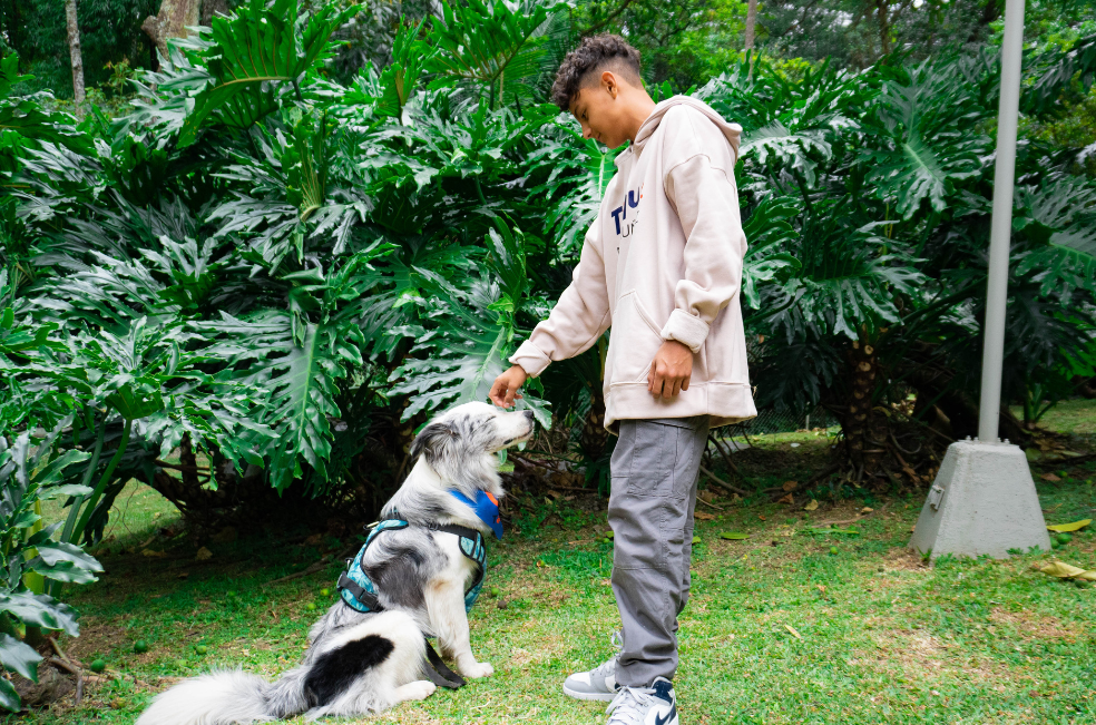 Emprendedor colombiano de 14 años crea una App para el cuidado de las mascotas