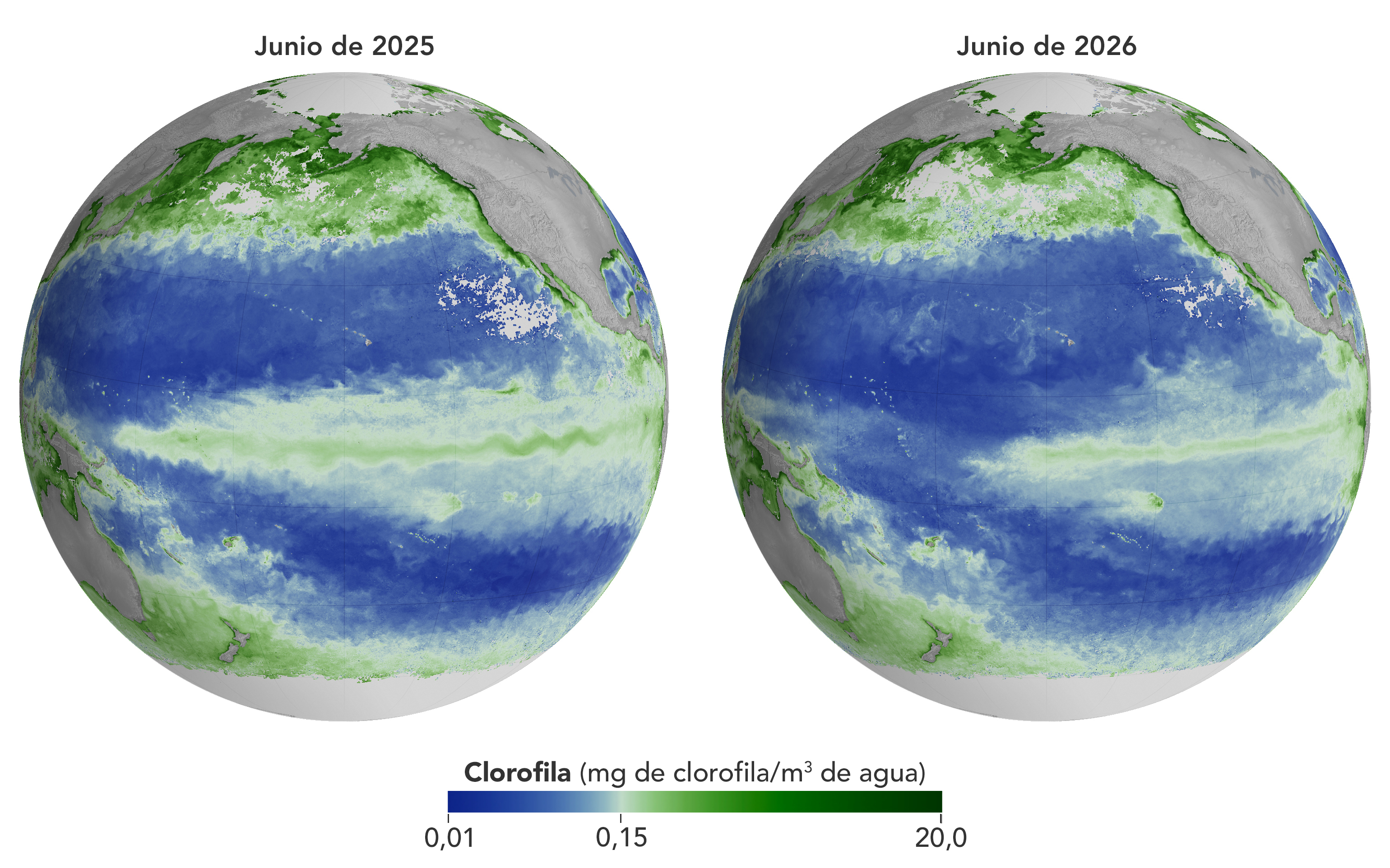 Satélites de la NASA detectan otro preocupante efecto de El Niño en la vida marina