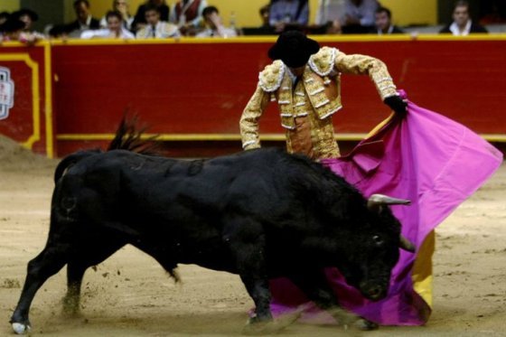 Petro dice que el Procurador persigue «funcionarios no taurinos»