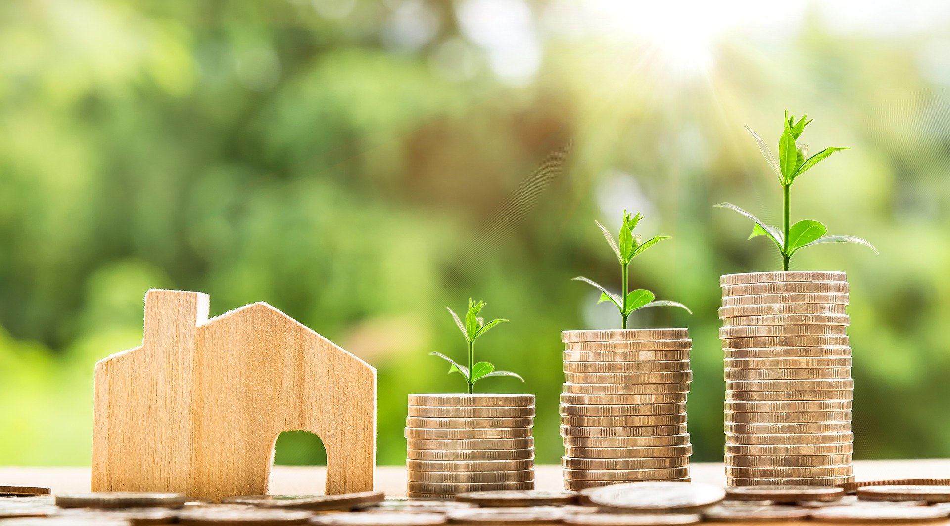 Una forma acertada para invertir el dinero