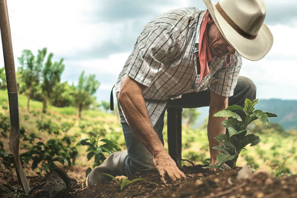Se fortalecen las Agencias de Desarrollo Económico Local de Colombia