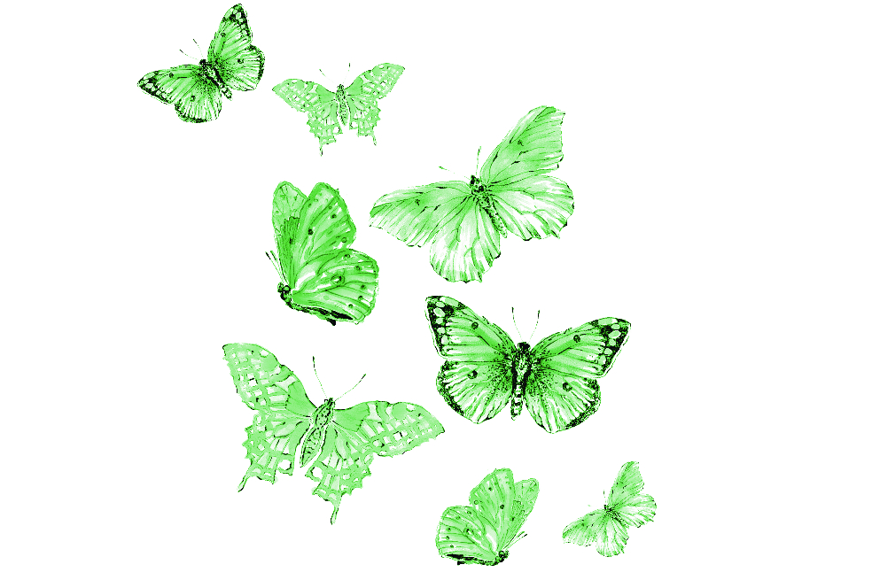“Mariposas verdes”: un espejo del “bullying”
