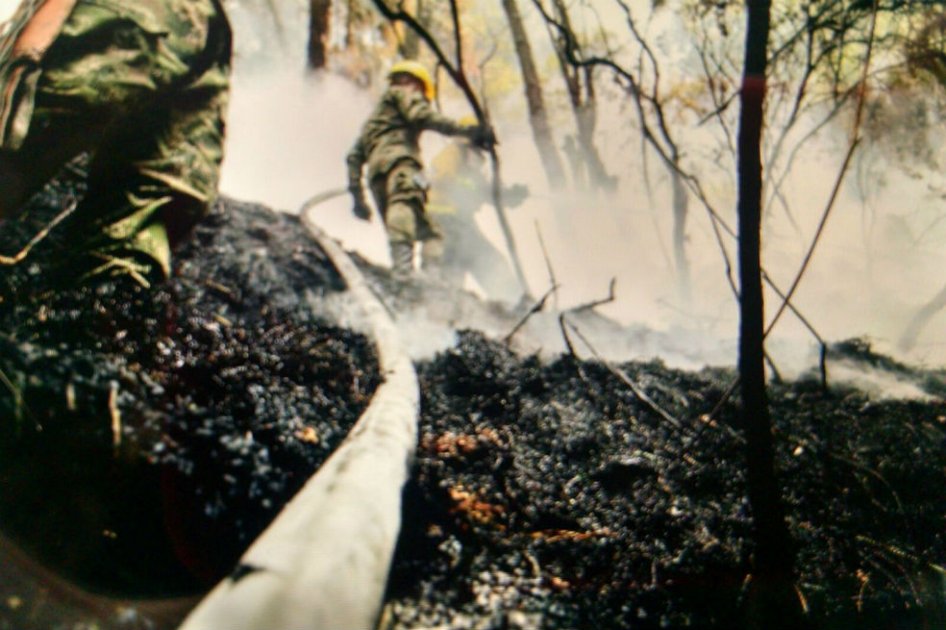 Cierran sendero a Monserrate por incendio en cerros orientales